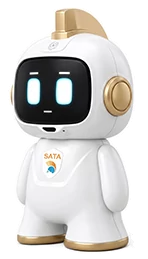 Robot SATA ROBOT AI